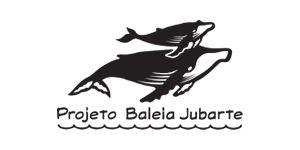 Baleia Jubarte 