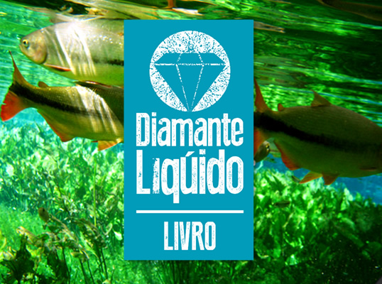 Diamente Líquido